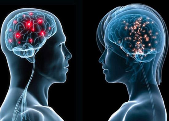 Le cerveau des hommes et celui des femmes sont connectés différemment